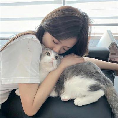 后窗惊魂